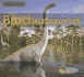 Brachiosaurus (Acorn)