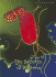 The Benefits of Bacteria (Microlife)