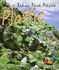 Plastic (Reduce, Reuse, Recycle)