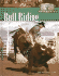 Bull Riding (World of Rodeo)
