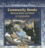 Community Needs (Communities at Work)