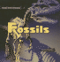 Fossils (Rocks and Minerals)