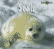 Seals (Baby Animals)