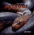 Pythons (Scary Snakes)