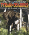 Tyrannosaurus