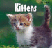 Kittens/ Gatitos (Baby Animals/Animales Beb�) (Spanish and English Edition)