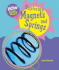 Exploring Magnets and Springs (How Does Science Work? )
