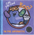 Can You Find Boo? : in the Antarctic