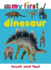 Dinosaur: Touch and Feel Book (My First Touch and Feel)