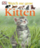 Kitten (Watch Me Grow)