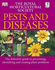 Rhs Pests and Diseases