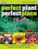 Perfect Plant, Perfect Place (Dk Gardening)