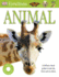 Animal Alphabet