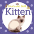 Kitten (Ultimate Sticker Books)