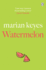 Watermelon: the Riotously Funny and Tender Novel From the Million-Copy Bestseller (Walsh Family)