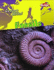 Fossils (Geology Rocks! ) (Geology Rocks! )
