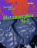 Metamorphic Rock (Geology Rocks! )