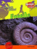 Fossils (Geology Rocks! )