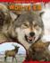Wolf Vs Elk (Predator Vs Prey)