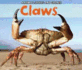 Claws (Acorn: Animal Spikes and Spines)