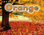 Orange (Colours All Around Us)