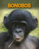Bonobos (Infosearch: Living in the Wild: Primates)