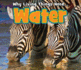 Water (Acorn. Book Band Level Blue)