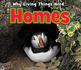 Homes (Acorn. Book Band Level Blue)