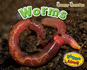 Worms (Early Years: Creepy Crawlies)
