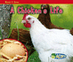 A Chicken's Life (Acorn: Watch It Grow)