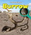 Burrow (Young Explorer. Book Band Level Turquoise)