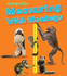 Measuring With Monkeys