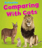 Comparing With Cats (Animaths)