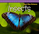 Insects (Real Size Science)