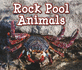 Rock Pool Animals (Animals in Their Habitats)