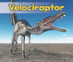Velociraptor (Acorn: All About Dinosaurs)