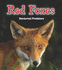 Red Foxes (Read and Learn: Night Safari)