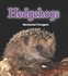 Hedgehogs (Read and Learn: Night Safari)
