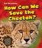 How Can We Save the Cheetah? (Young Explorer: Text Structures)