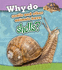 Why Do Snails and Other Animals Have Shells? (Read and Learn: Animal Body Coverings)