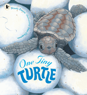 One Tiny Turtle (Nature Storybooks)