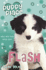 Flash (Puppy Place)