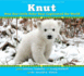 Knut: How One Little Polar Bear Captivated the World