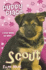 Scout (Puppy Place) (Puppy Place)