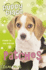Patches (Puppy Place)