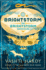 Brightstorm a Sky Ship Adventure