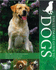 The Ultimate Guide to Dogs