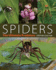 Spiders