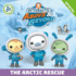 Octonauts Above & Beyond: the Arctic Rescue