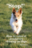 "Stop! " How to Control Predatory Chasing in Dogs